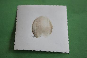 Preview: Haus geschmückt mit Hakenkreuzfahne